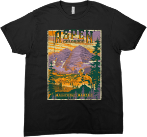 ASPEN COLORADO SOLID TEE