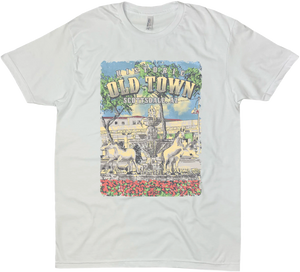 SCOTTSDALE OLD TOWN FOUNTAIN SOLID TEE