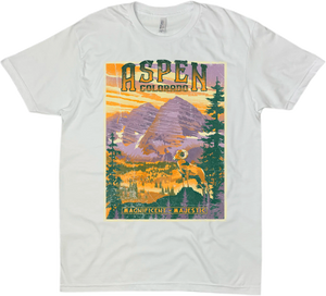 ASPEN COLORADO SOLID TEE