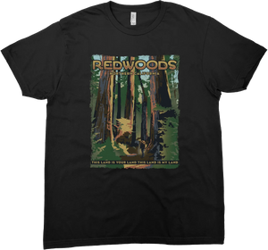REDWOODS NATIONAL AND STATE PARK CALIFORNIA SOLID TEE