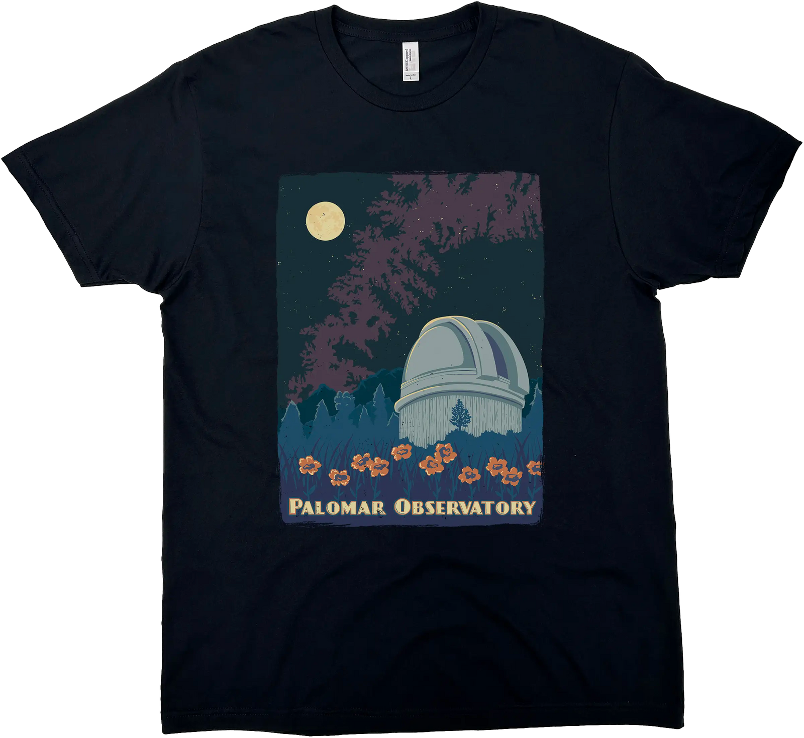 PALOMAR OBSERVATORY SOLID TEE
