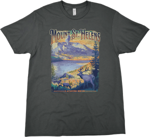 MOUNT SAINT HELENS NATIONAL MONUMENT SOLID TEE
