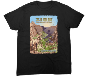 ZION NATIONAL PARK CANYON OVERLOOK SOLID TEE