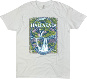 HALEAKALA NATIONAL PARK SOLID TEE