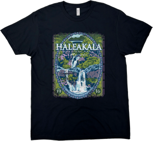 HALEAKALA NATIONAL PARK SOLID TEE