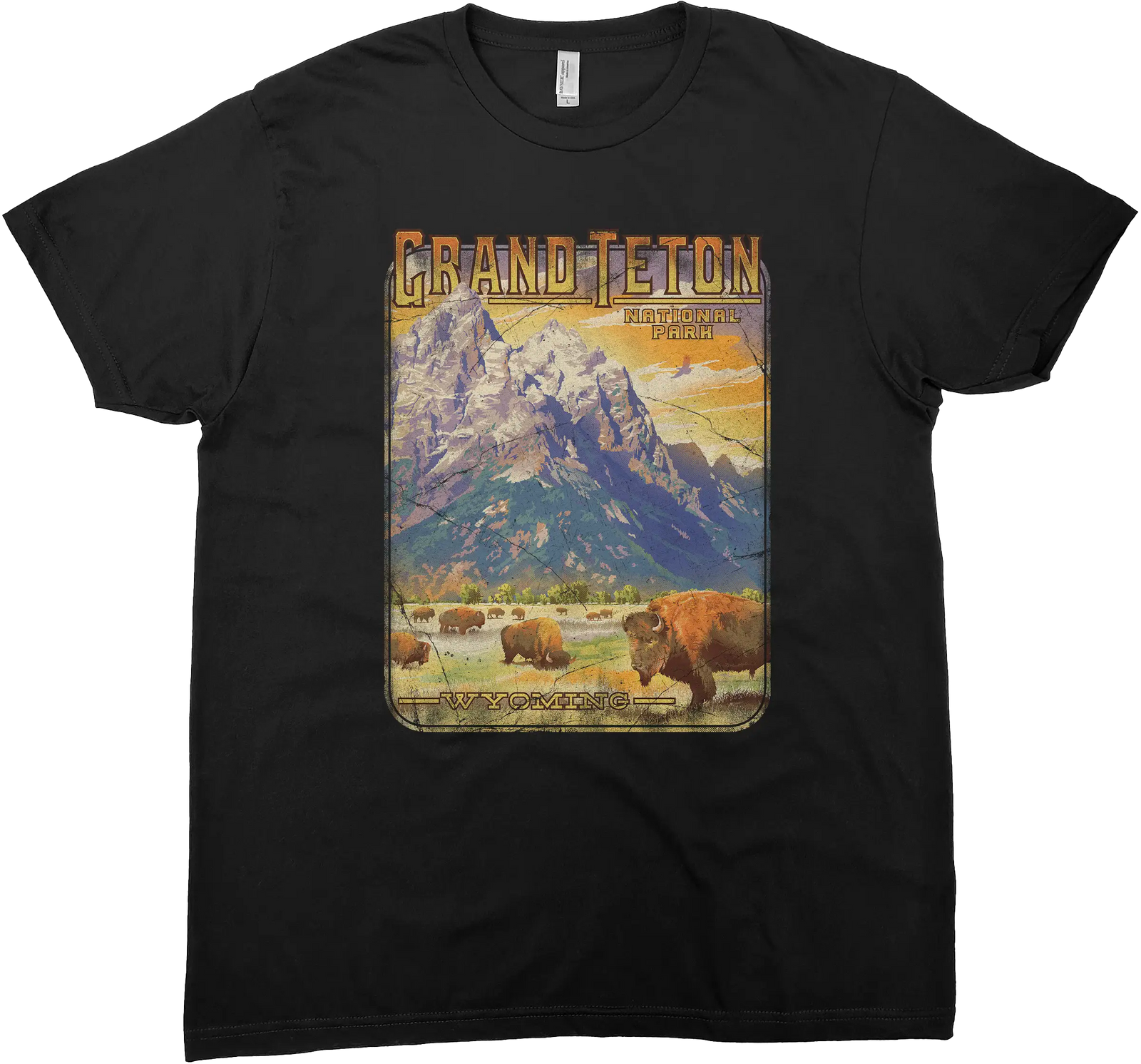 GRAND TETON BISON HERD SOLID TEE