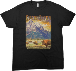 GRAND TETON BISON HERD SOLID TEE