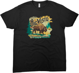 BIG VISTA BISON SOLID TEE