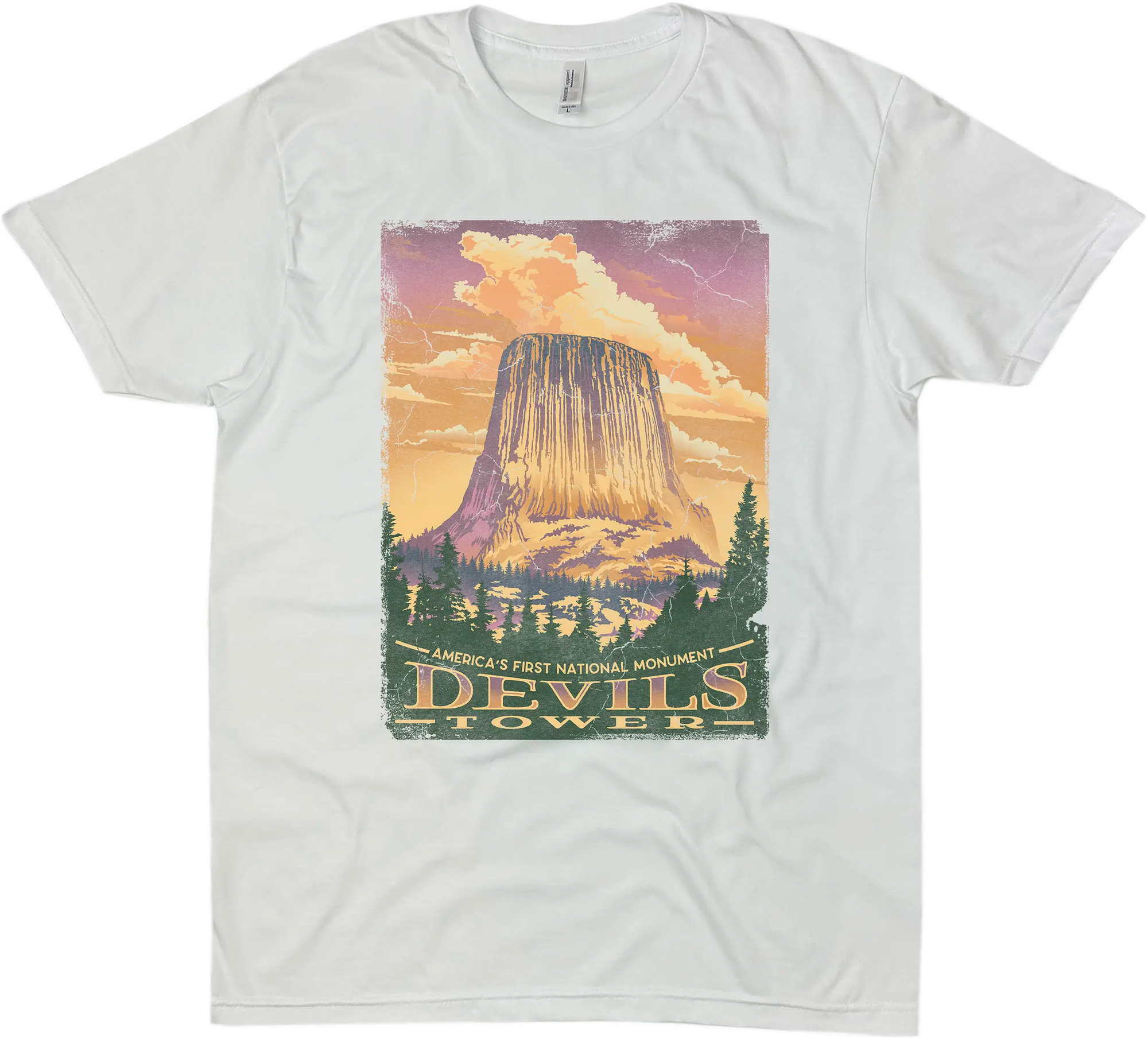 DEVILS TOWER AMERICA'S FIRST NATIONAL MONUMENT SOLID TEE