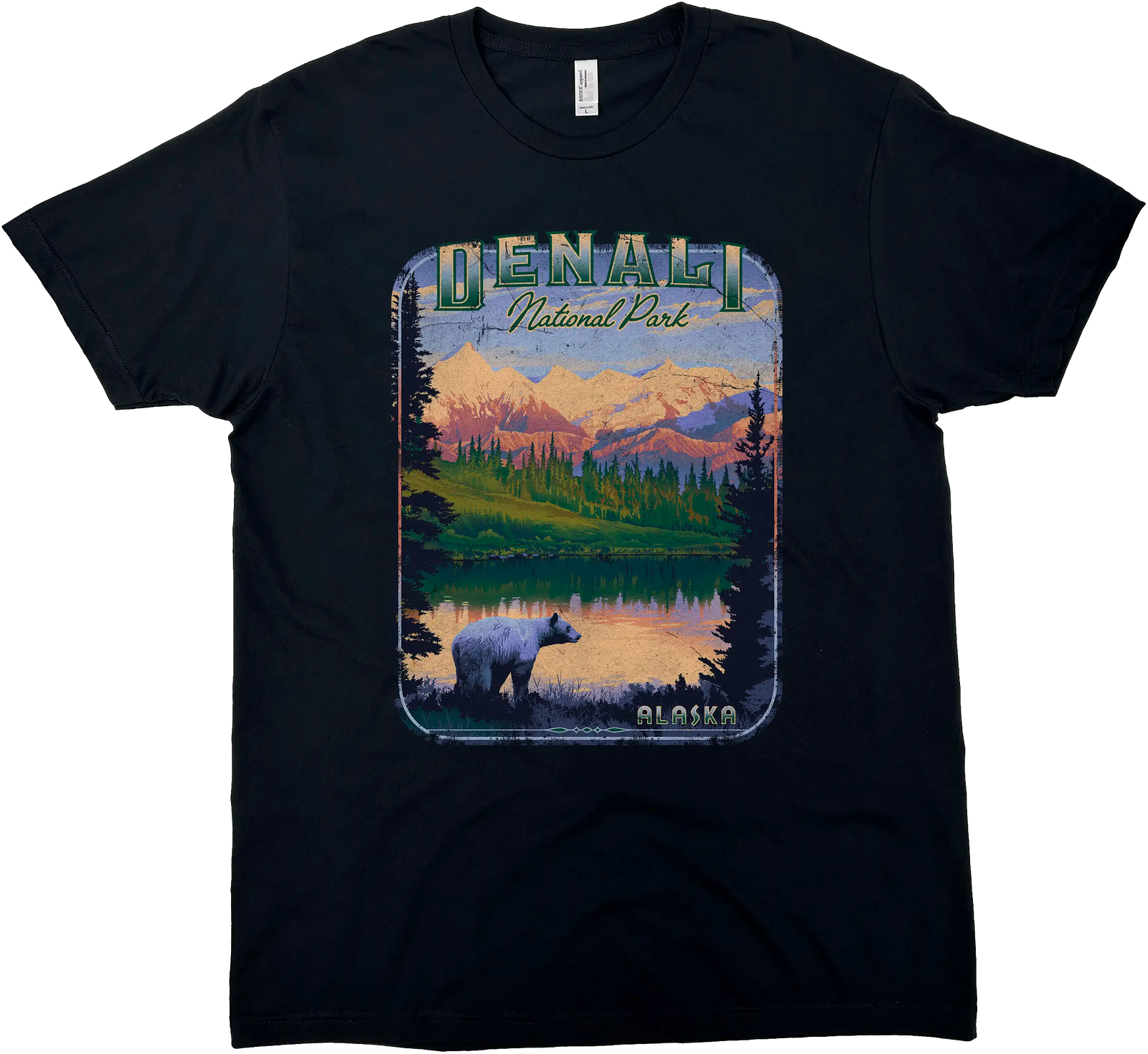 DENALI NATIONAL PARK ALASKA SOLID TEE