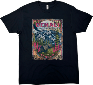 DENALI NATIONAL PARK 1917 SOLID TEE