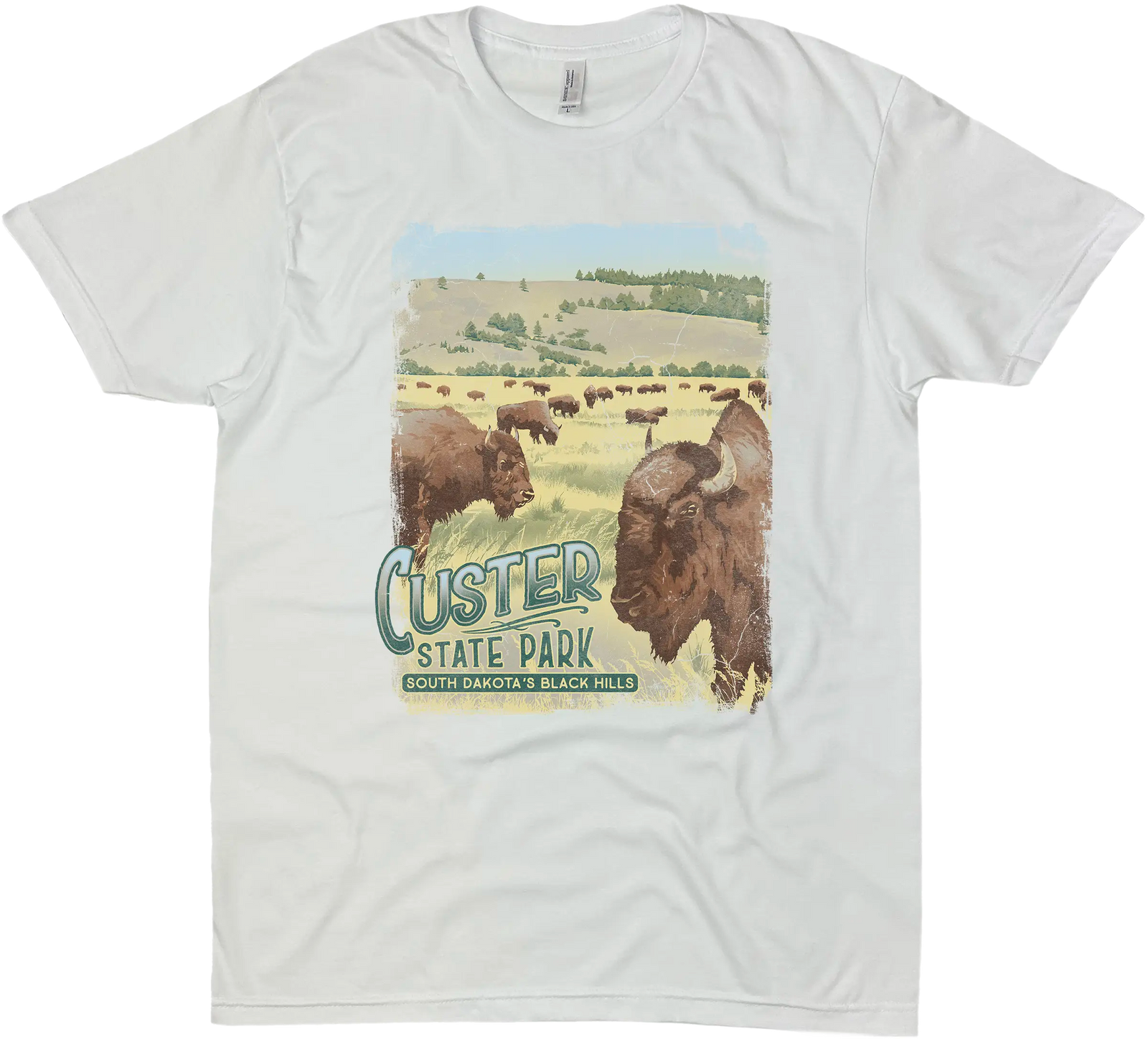 CUSTER STATE PARK BISON SOLID TEE