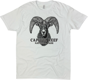 CAPITOL REEF NATIONAL PARK BIGHORN SOLID TEE