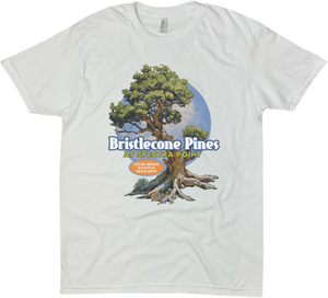 BRISTLECONE CEDAR BREAKS NATIONAL MONUMENT SOLID TEE