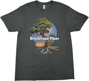 BRISTLECONE CEDAR BREAKS NATIONAL MONUMENT SOLID TEE