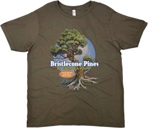 BRISTLECONE CEDAR BREAKS NATIONAL MONUMENT SOLID TEE