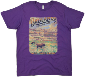 BADLANDS NATIONAL PARK SOUTH DAKOTA SOLID TEE