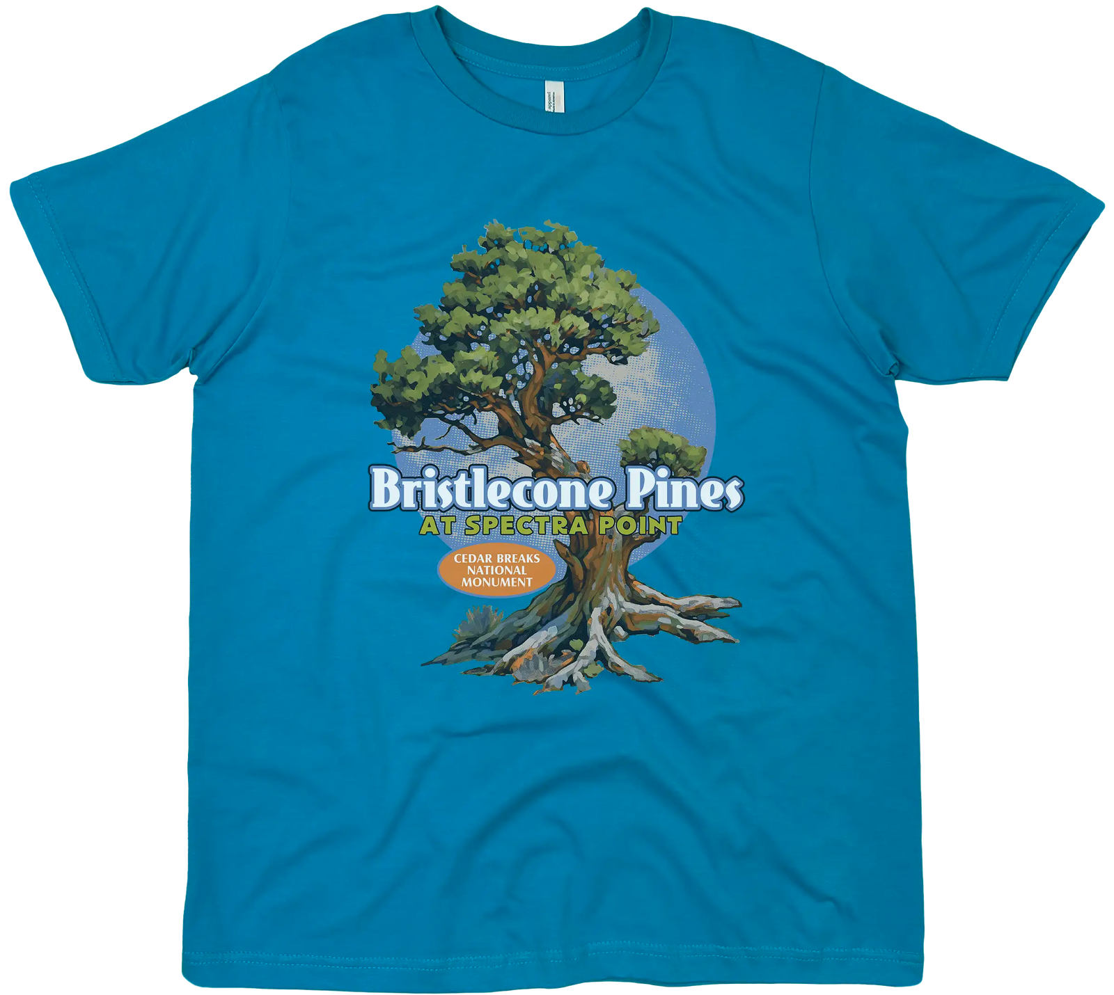 BRISTLECONE CEDAR BREAKS NATIONAL MONUMENT SOLID TEE