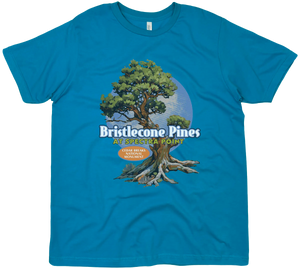 BRISTLECONE CEDAR BREAKS NATIONAL MONUMENT SOLID TEE