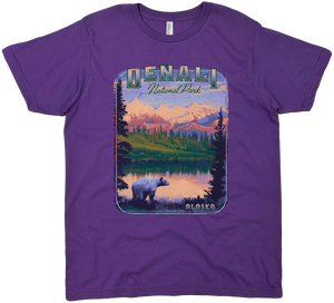 DENALI NATIONAL PARK ALASKA SOLID TEE