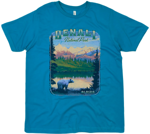 DENALI NATIONAL PARK ALASKA SOLID TEE