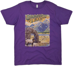 GRAND TETON JACKSON HOLE ANTLER ARCH SOLID TEE