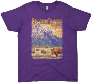 GRAND TETON BISON HERD SOLID TEE