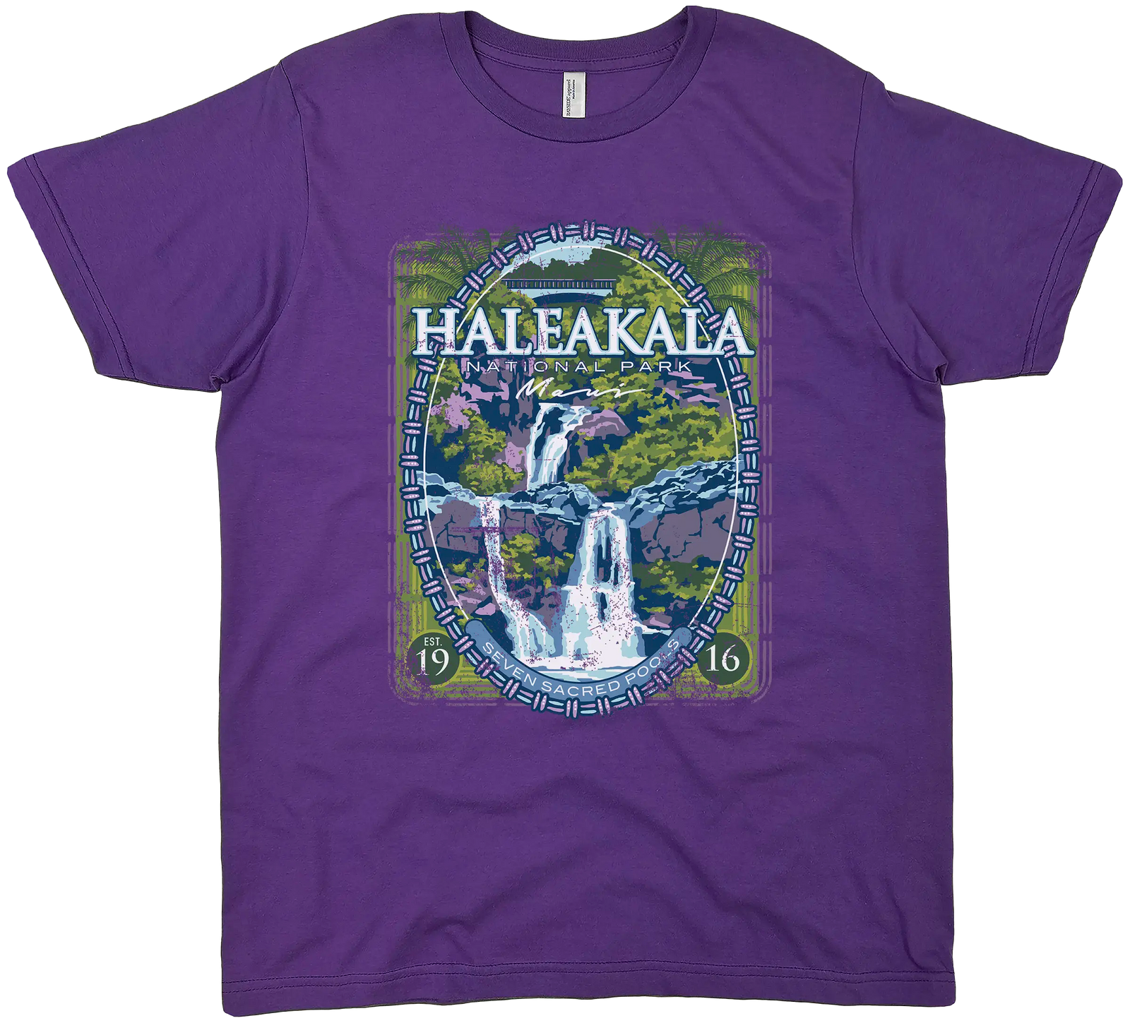 HALEAKALA NATIONAL PARK SOLID TEE