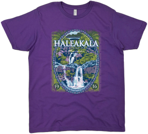 HALEAKALA NATIONAL PARK SOLID TEE