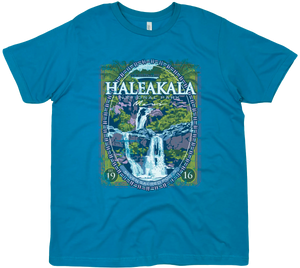 HALEAKALA NATIONAL PARK SOLID TEE