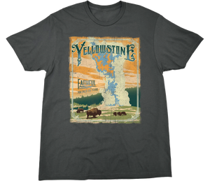 YELLOWSTONE NATIONAL PARK FAITHFUL SOLID TEE