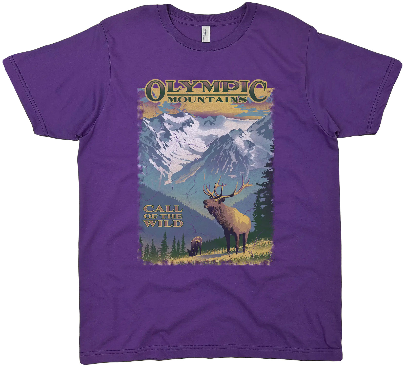 OLYMPIC NATIONAL PARK OLYMPIC MOUNTAINS SOLID TEE
