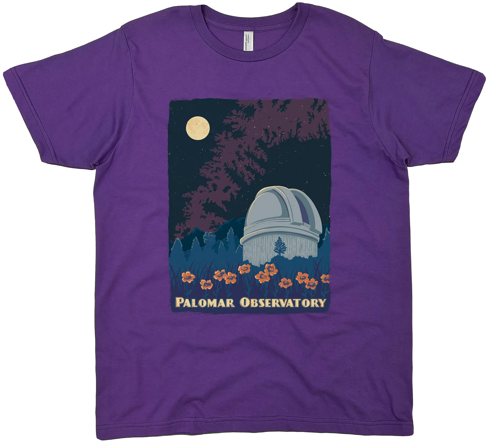 PALOMAR OBSERVATORY SOLID TEE