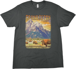 GRAND TETON BISON HERD SOLID TEE