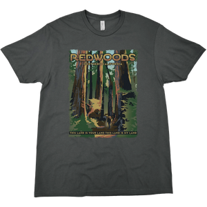 REDWOODS NATIONAL AND STATE PARK CALIFORNIA SOLID TEE