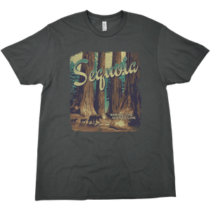 SEQUOIA NATIONAL PARK GIANTS LIVE SOLID TEE