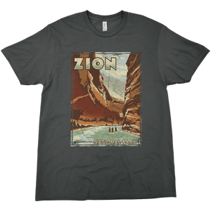 ZION NATIONAL PARK SOLID TEE