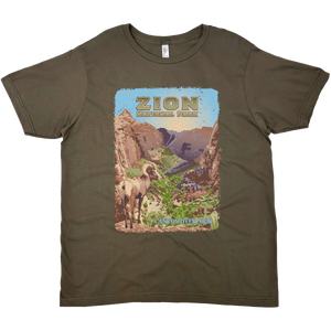 ZION NATIONAL PARK CANYON OVERLOOK SOLID TEE