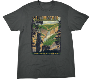 YELLOWSTONE FALLS GRIZZLY SOLID TEE