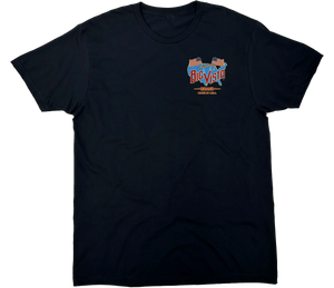 BIG VISTA AMERICANA SOLID TEE