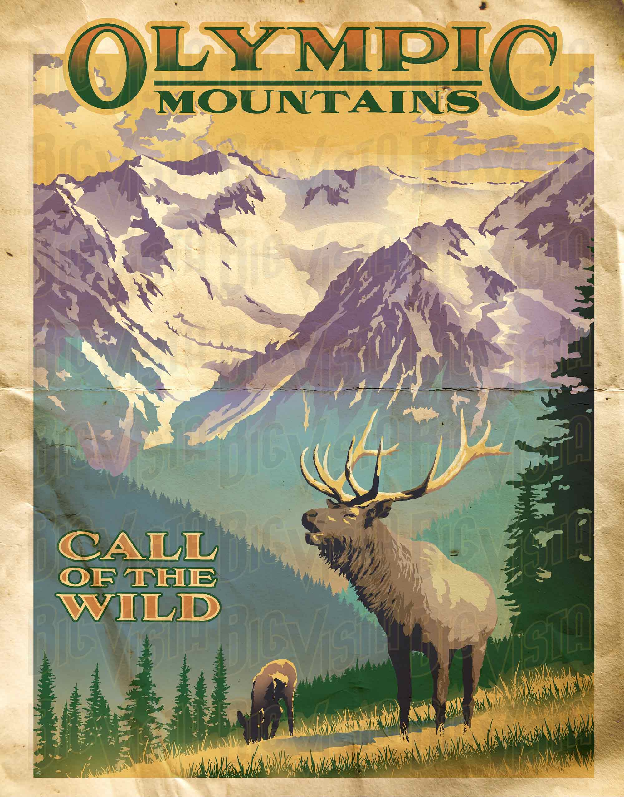 Olympic Mountains Poster