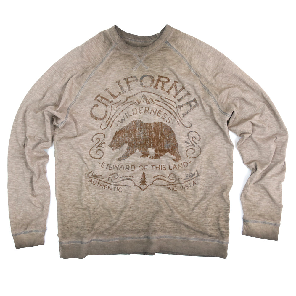 GRAYSON STEWARD OF LAND